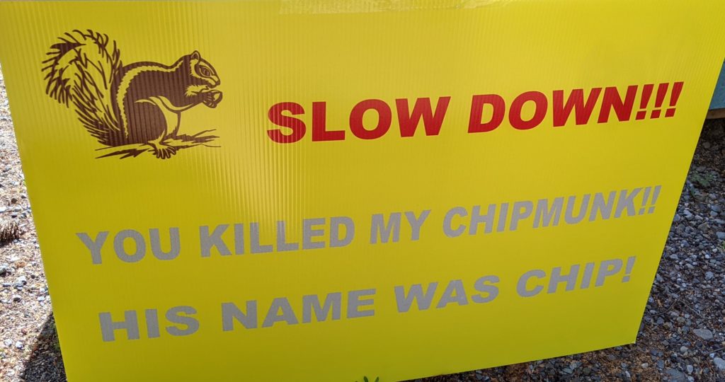 Picture of a yellow sign that reads "slow down!!! You killed my chipmunk!! His name was chip!