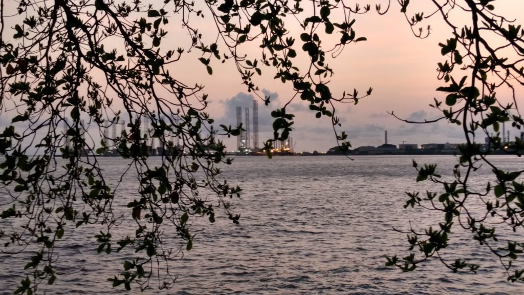Image of tree branches in foreground, looking across a bay to a row of factories in the pink/orange of dusk.