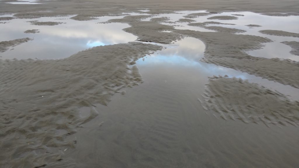 Image of mudflats with sky reflected in the puddles. 